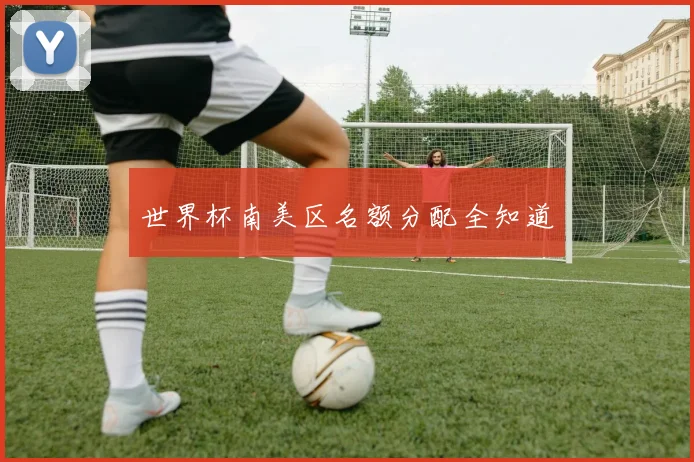 世界杯南美区名额分配全知道