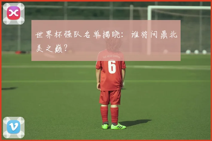 世界杯强队名单揭晓:谁将问鼎北美之巅?
